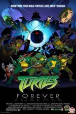 Watch Teenage Mutant Ninja Turtles Turtles Forever Putlocker