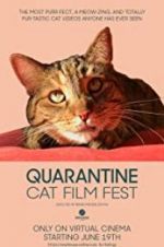 Watch Quarantine Cat Film Fest Online Putlocker