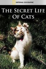 Watch The Secret Life of Cats Online Putlocker