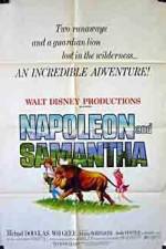 Watch Napoleon and Samantha Online Putlocker