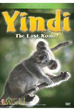 Watch Yindi the Last Koala Online Putlocker