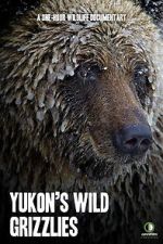 Watch Yukon\'s Wild Grizzlies Online Putlocker