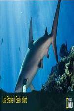 Watch National Geographic Wild - Lost Sharks of Easter Island Putlocker
