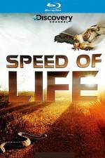 Watch Speed of Life Putlocker