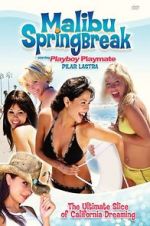 Watch Malibu Spring Break Online Putlocker
