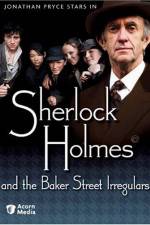 Watch Sherlock Holmes and the Baker Street Irregulars Putlocker