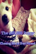 Watch The 60,000 Puppy: Cloning Man's Best Friend Putlocker