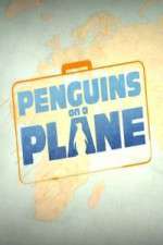 Watch Penguins on a Plane Putlocker