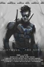 Watch Putlocker Nightwing: The Series Online