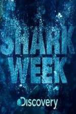 Watch Shark Week Putlocker