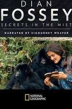 Watch Dian Fossey: Secrets in the Mist Putlocker