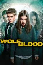 wolfblood secrets tv poster