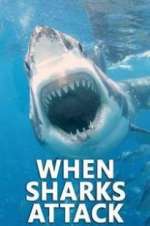 Watch When Sharks Attack Putlocker