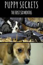 Watch Puppy Secrets: The First Six Months Putlocker