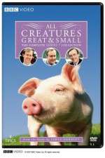 Watch All Creatures Great and Small Putlocker