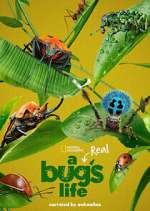 a real bug's life tv poster
