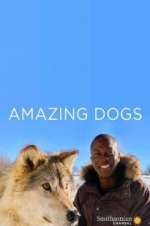 Watch Amazing Dogs Putlocker