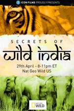Watch Secrets of Wild India Putlocker