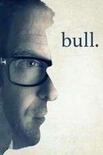 bull tv poster