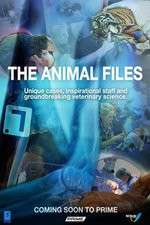 Watch The Animal Files Putlocker