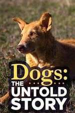 Watch Dogs: The Untold Story Putlocker