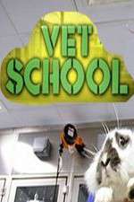 Watch Vet School Putlocker