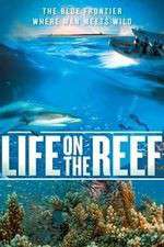 Watch Life on the Reef Putlocker