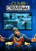 so dumb it's criminal tv poster