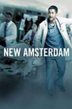 Watch New Amsterdam Putlocker