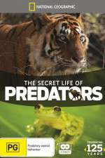 Watch Secret Life of Predators Putlocker