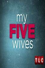 Watch My Five Wives Putlocker