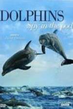 Watch Putlocker Dolphins: Spy in the Pod Online