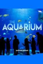 Watch The Aquarium Putlocker