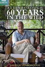 Watch Attenborough 60 Years in the Wild Putlocker