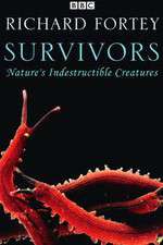 Watch Survivors: Nature's Indestructible Creatures Putlocker