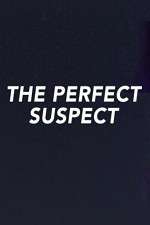 Watch The Perfect Suspect Putlocker