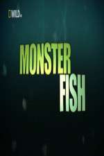 Watch National Geographic Monster Fish Putlocker