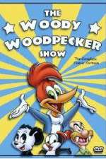Watch Putlocker The Woody Woodpecker Show Online