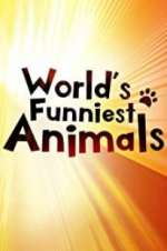 Watch Putlocker The World\'s Funniest Animals Online