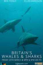 Watch Britain's Whales and Sharks Putlocker