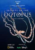 Watch Putlocker Secrets of the Octopus Online