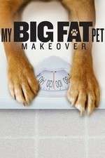 Watch My Big Fat Pet Makeover Putlocker
