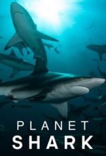 Watch Putlocker Planet Shark Online