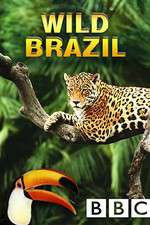 Watch Wild Brazil Putlocker
