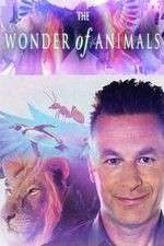 Watch The Wonder of Animals Putlocker