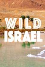 Watch Wild Israel Putlocker