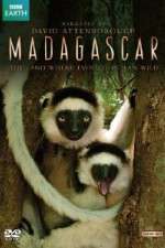 Watch Madagascar Putlocker
