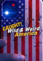 Watch Putlocker Wild & Weird America Online