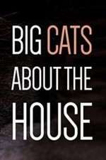 Watch Big Cats About the House Putlocker