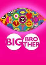 big brother tv poster